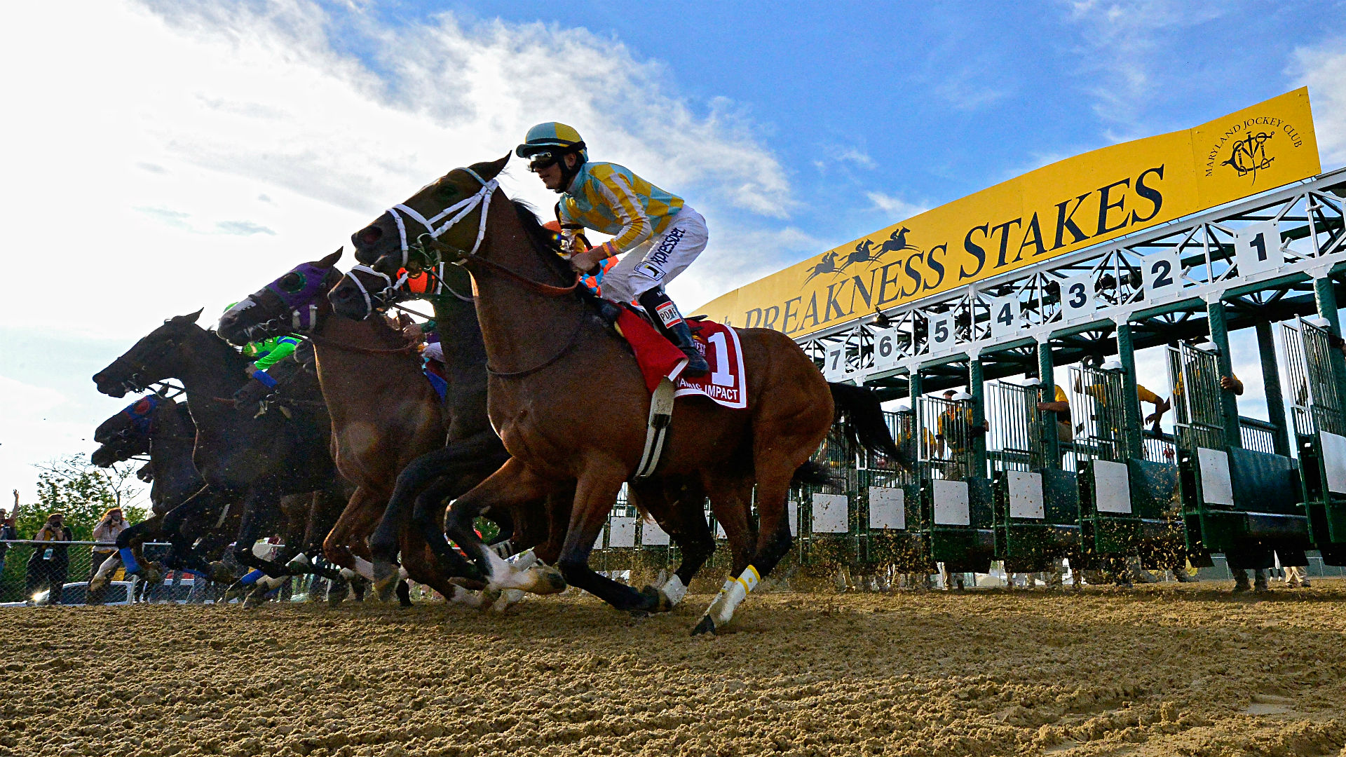 Preakness 2016 Expert picks, how to bet on the race, horse racing