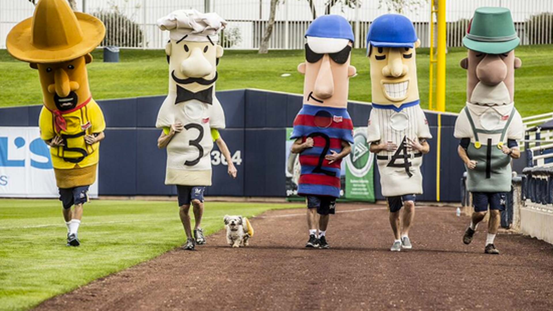 Hank, the Brewers' new team dog, competes in Sausage Race (VIDEO) MLB