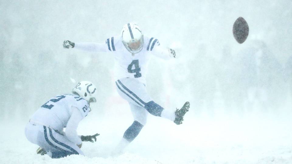 Image result for colts in snow game