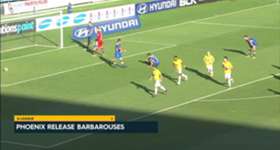 Kosta Barbarouses has been granted a release from Wellington Phoenix for personal reasons.