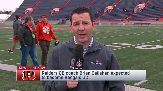 NFL Network Insider Ian Rapoport: Oakland Raiders quarterbacks coach Brian Callahan to be next Cincinnati Bengals' offensive coordinator NFL Network Insider Ian Rapoport: Oakland Raiders quarterbacks coach Brian Callahan to be next Cincinnati Bengals' offensive coordinator