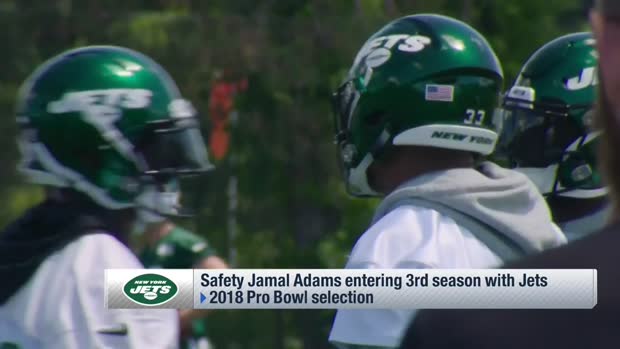New York Jets defensive coordinator Gregg Williams describes his first conversation with safety Jamal Adams New York Jets defensive coordinator Gregg Williams describes his first conversation with safety Jamal Adams