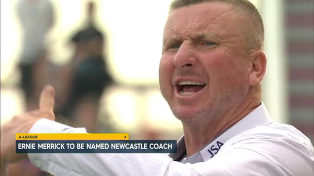 Merrick confirmed as Jets coach