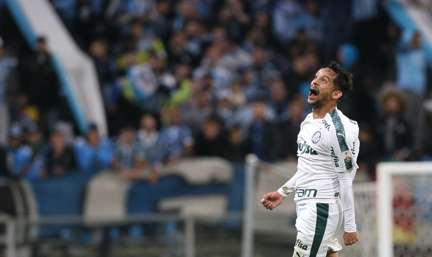 Palmeiras rejeita oferta da Turquia por Scarpa