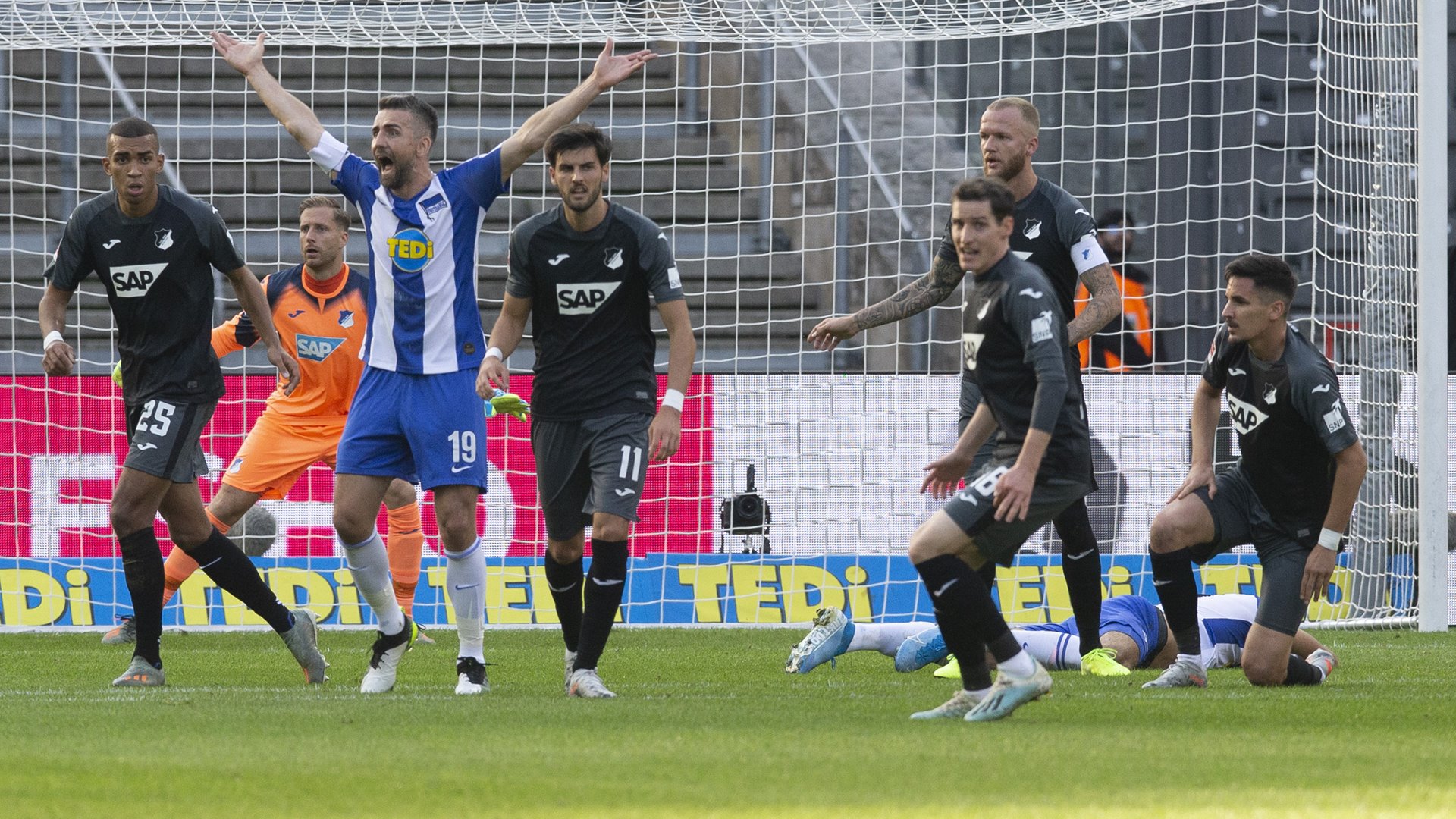 TSG Hoffenheim Hertha BSC Vedad Ibisevic Bundesliga