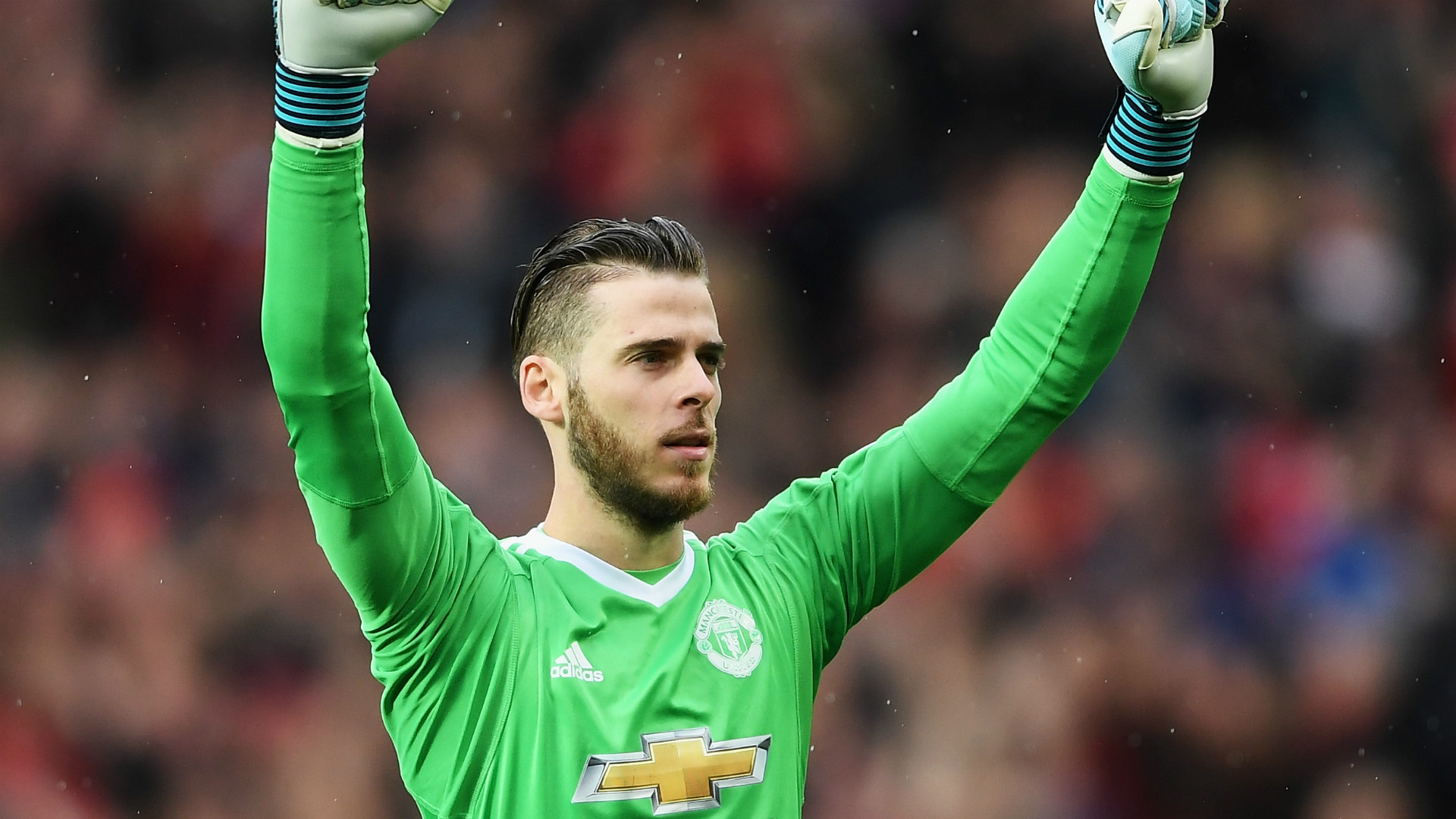 David de Gea Manchester United