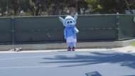 Moonchester basketball