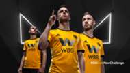 Wolves Players