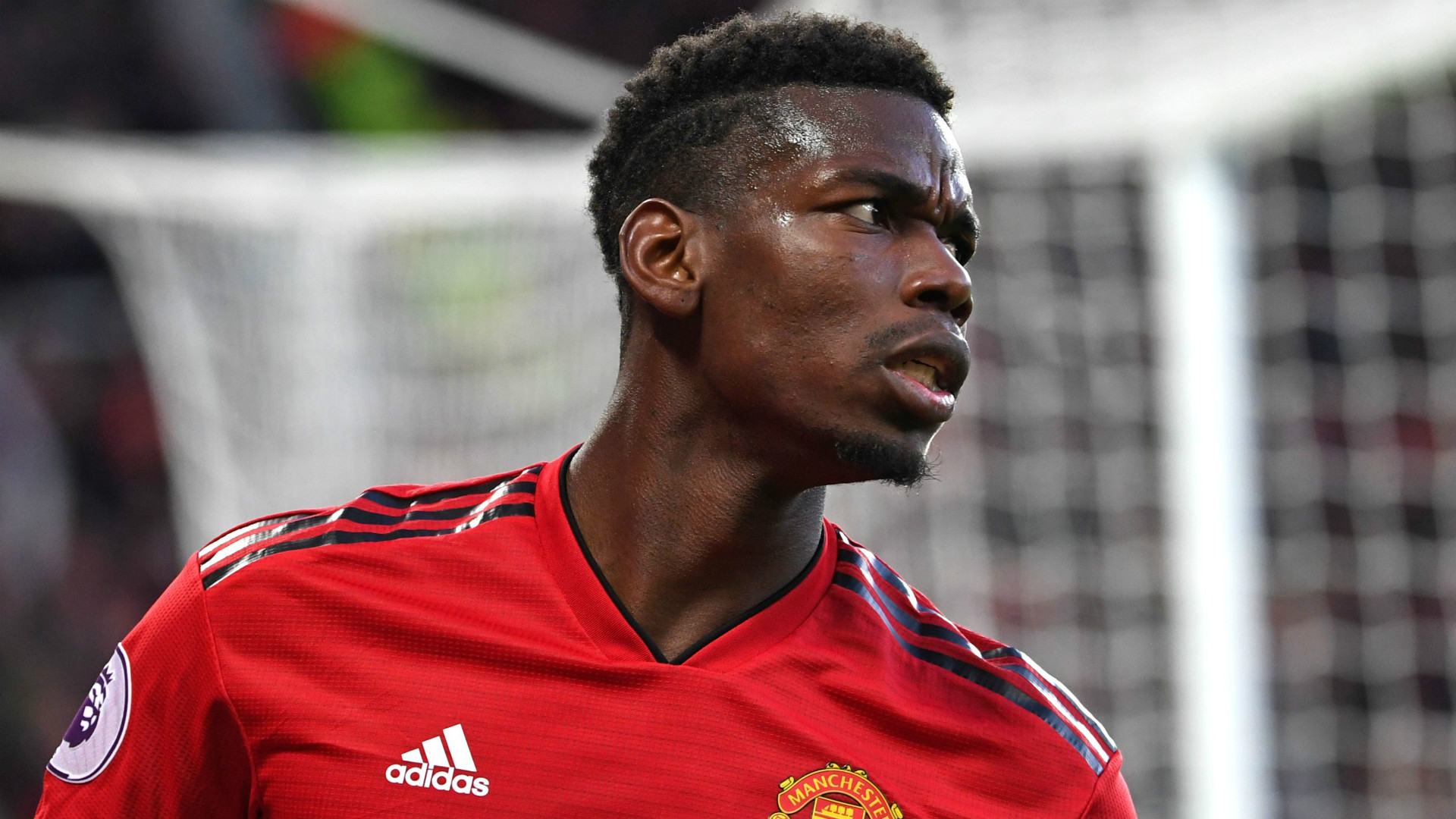 Paul Pogba Manchester United 2018-19