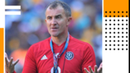Milutin Sredojevic PS