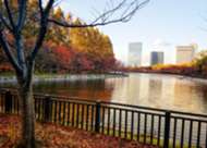 Goal Indonesia Goes To Osaka - Autumn In Osaka