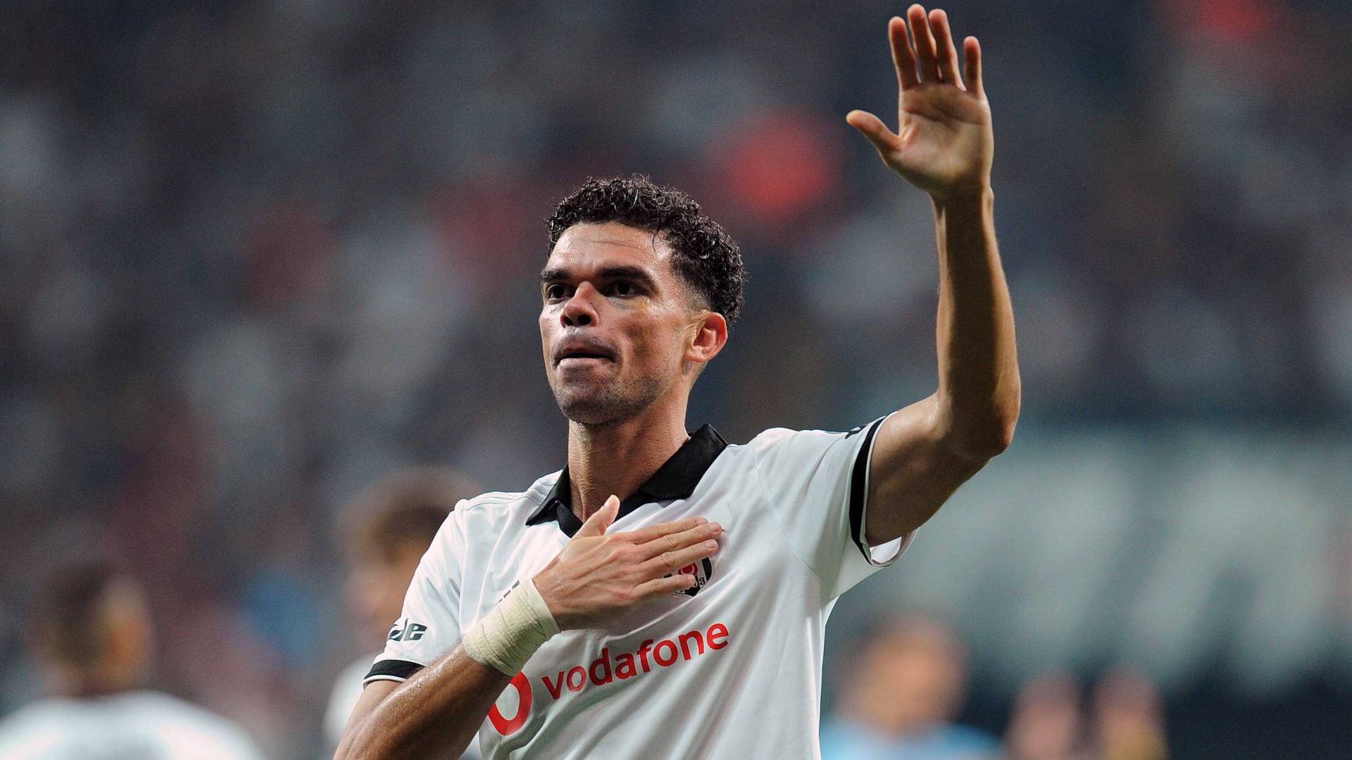 Pepe set for return to Porto after Besiktas release | Soccer | Sporting ...