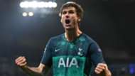 Fernando Llorente Tottenham 2018-19