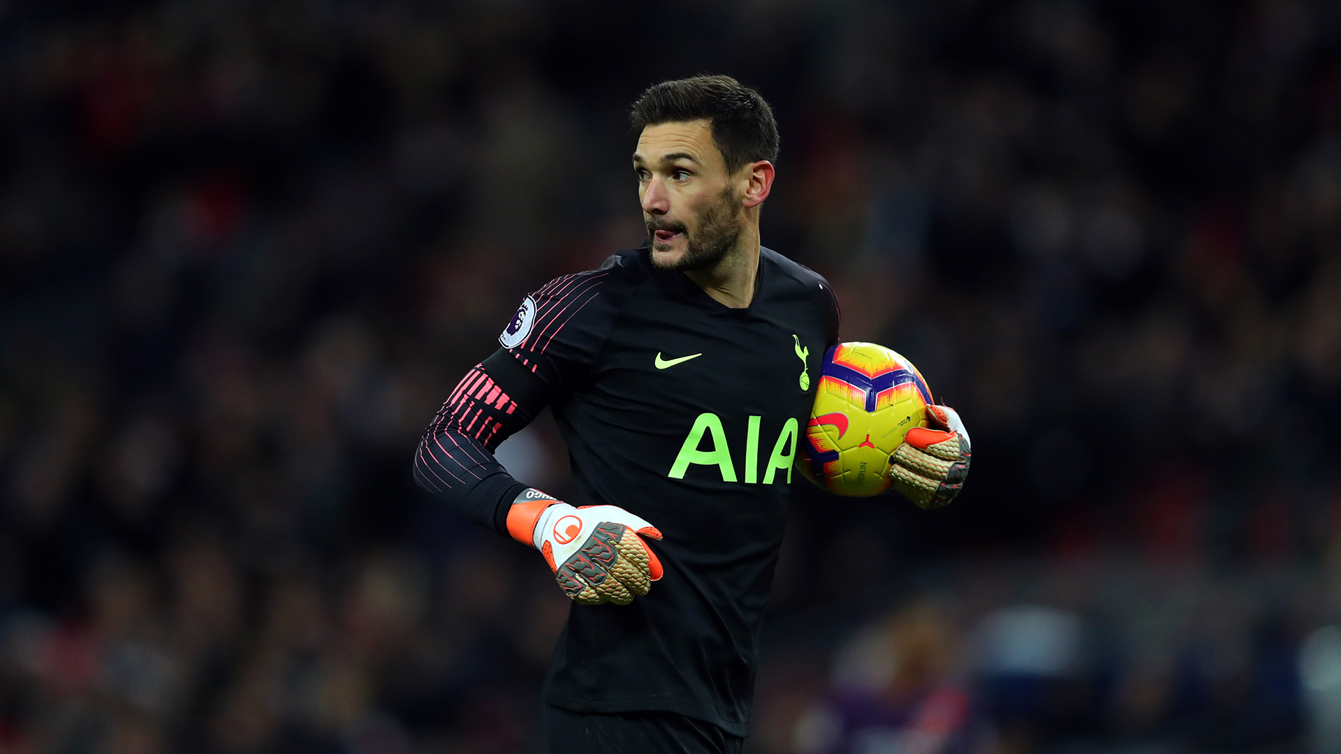 Hugo Lloris Tottenham Hotspur 2018-19