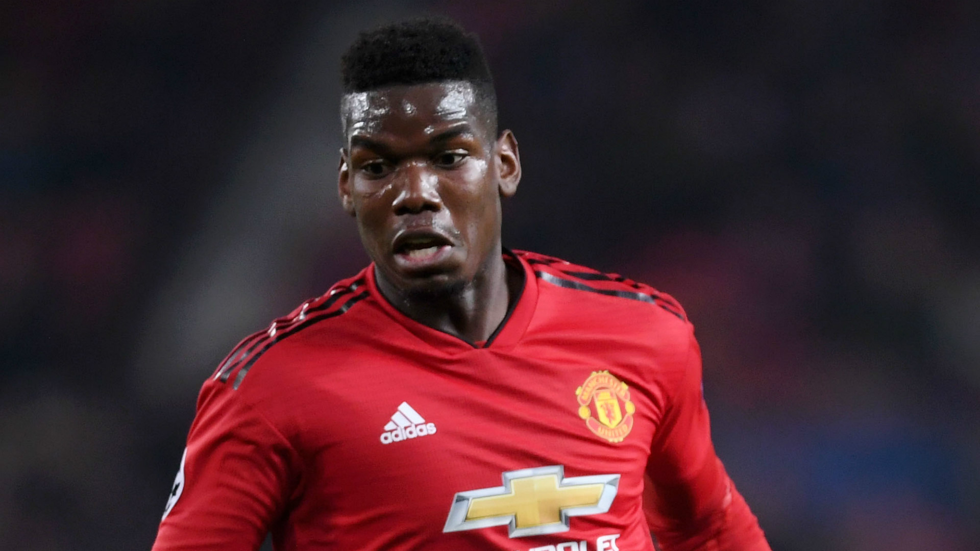 Paul Pogba Manchester United 2018-19