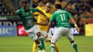 León Tigres