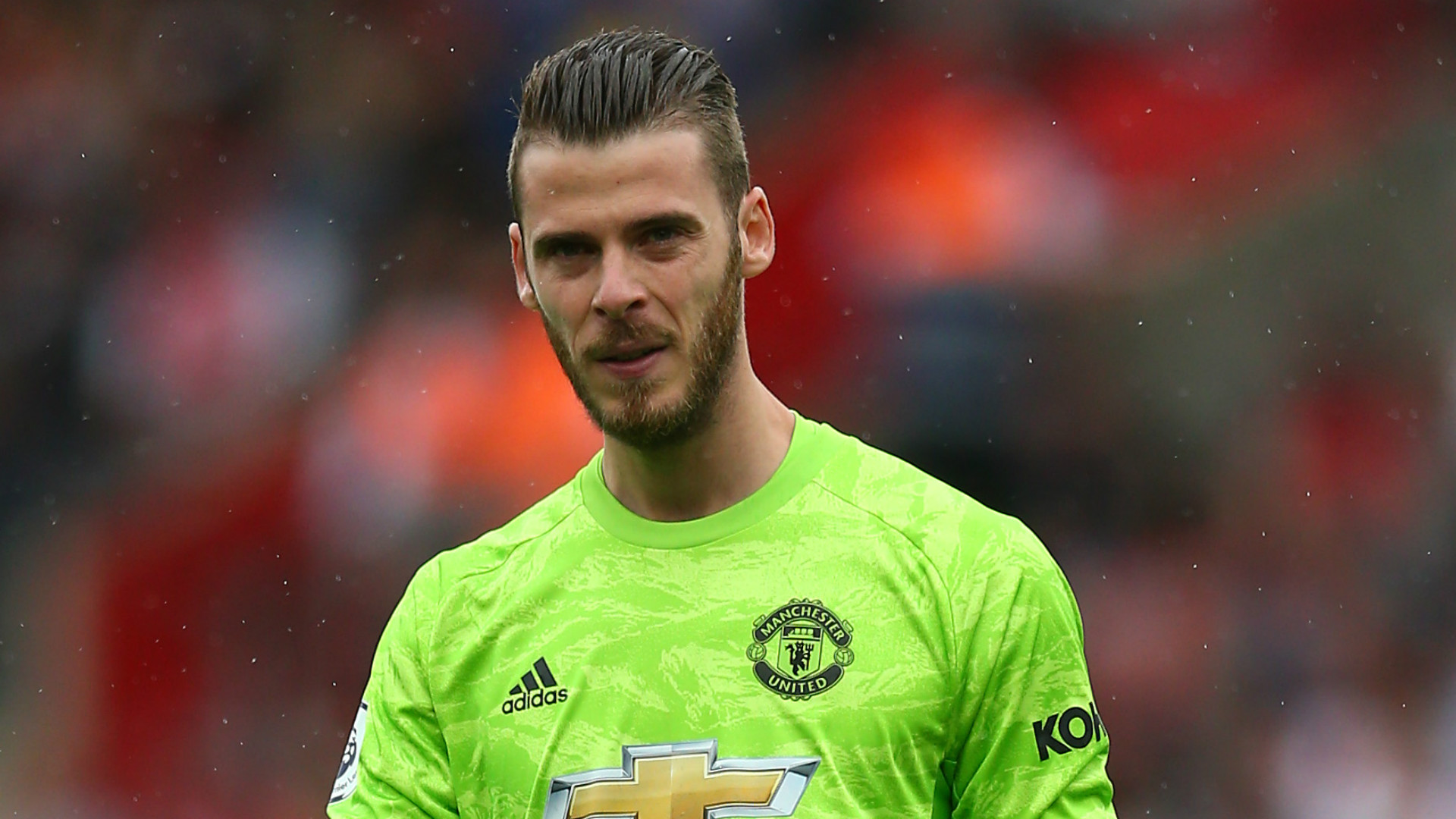 David De Gea David De Gea