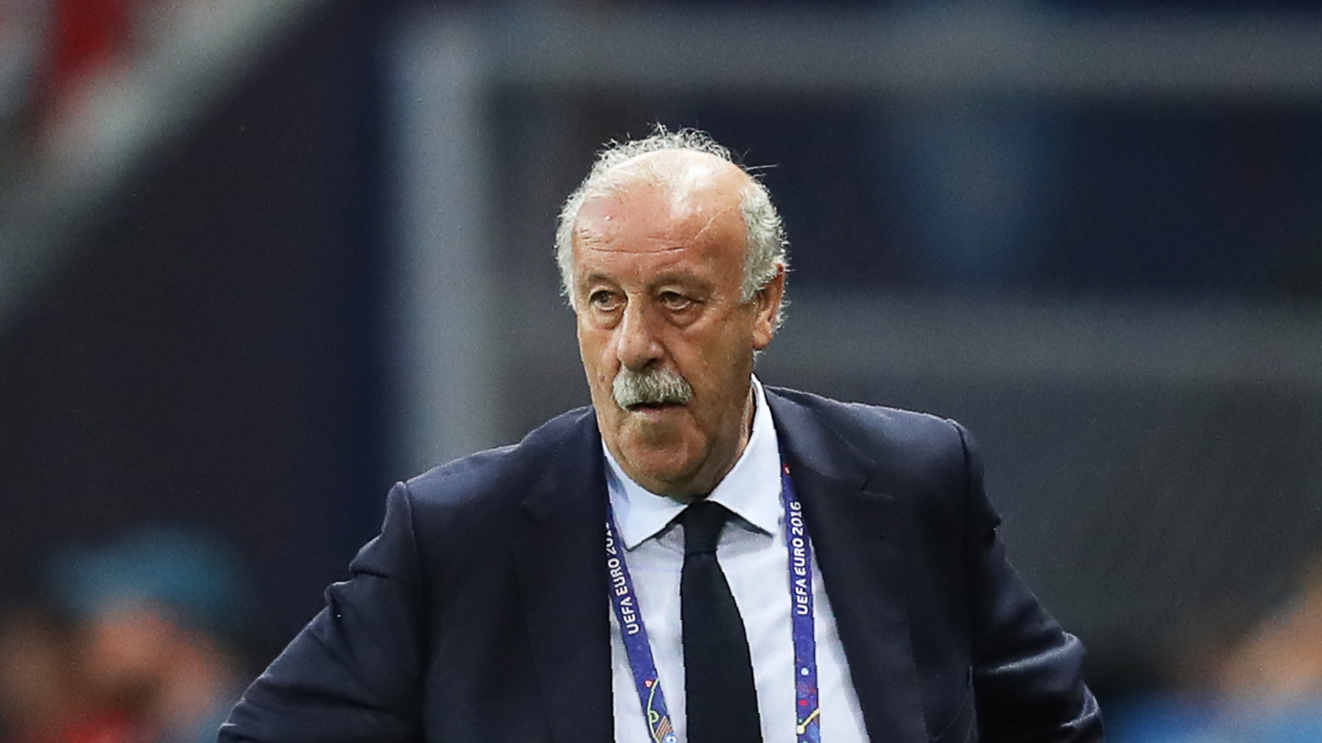Del Bosque Spainien 17062016