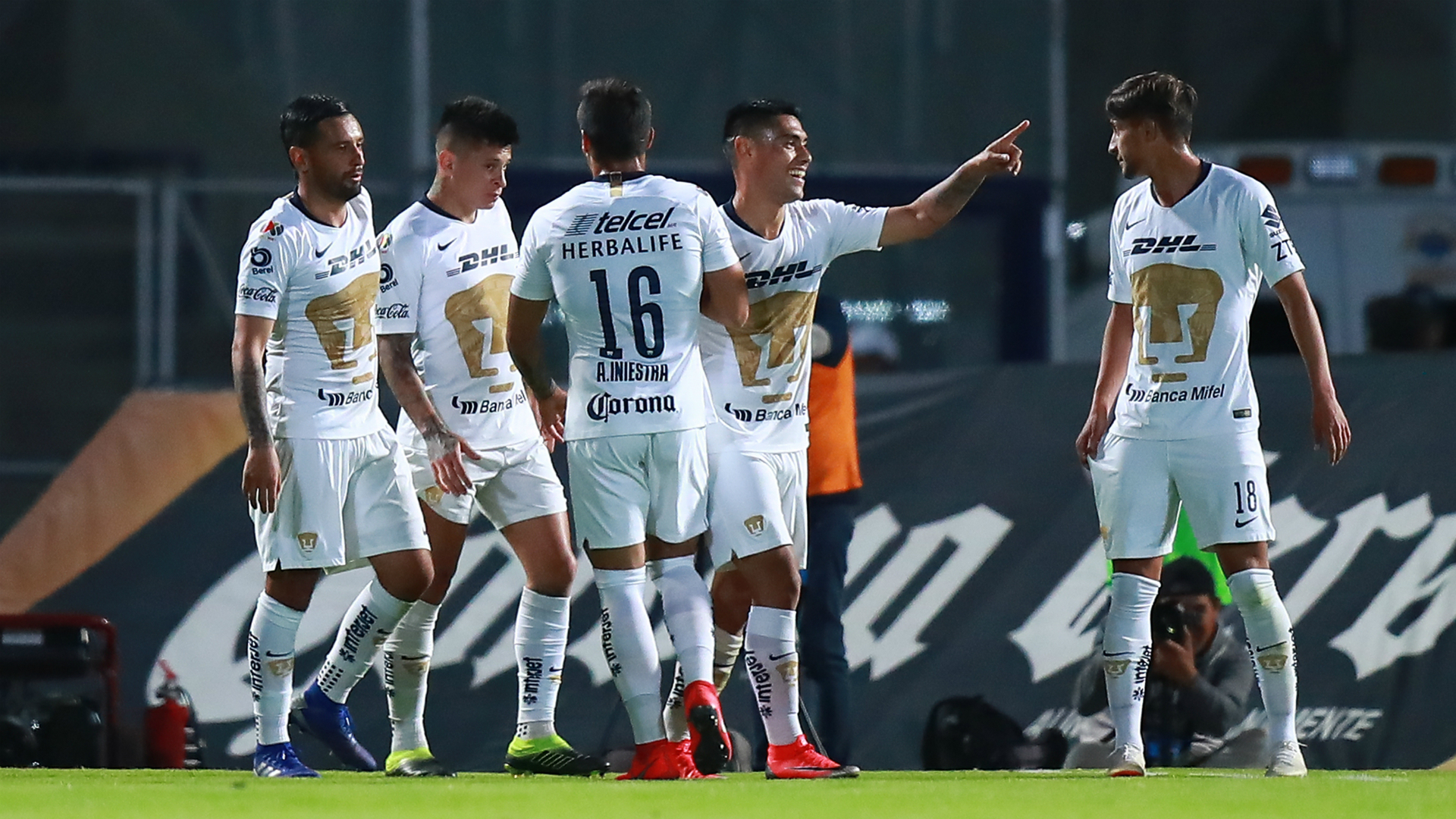 Pumas