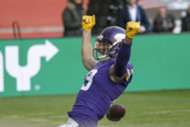 Adam Theilen, Minnesota Vikings