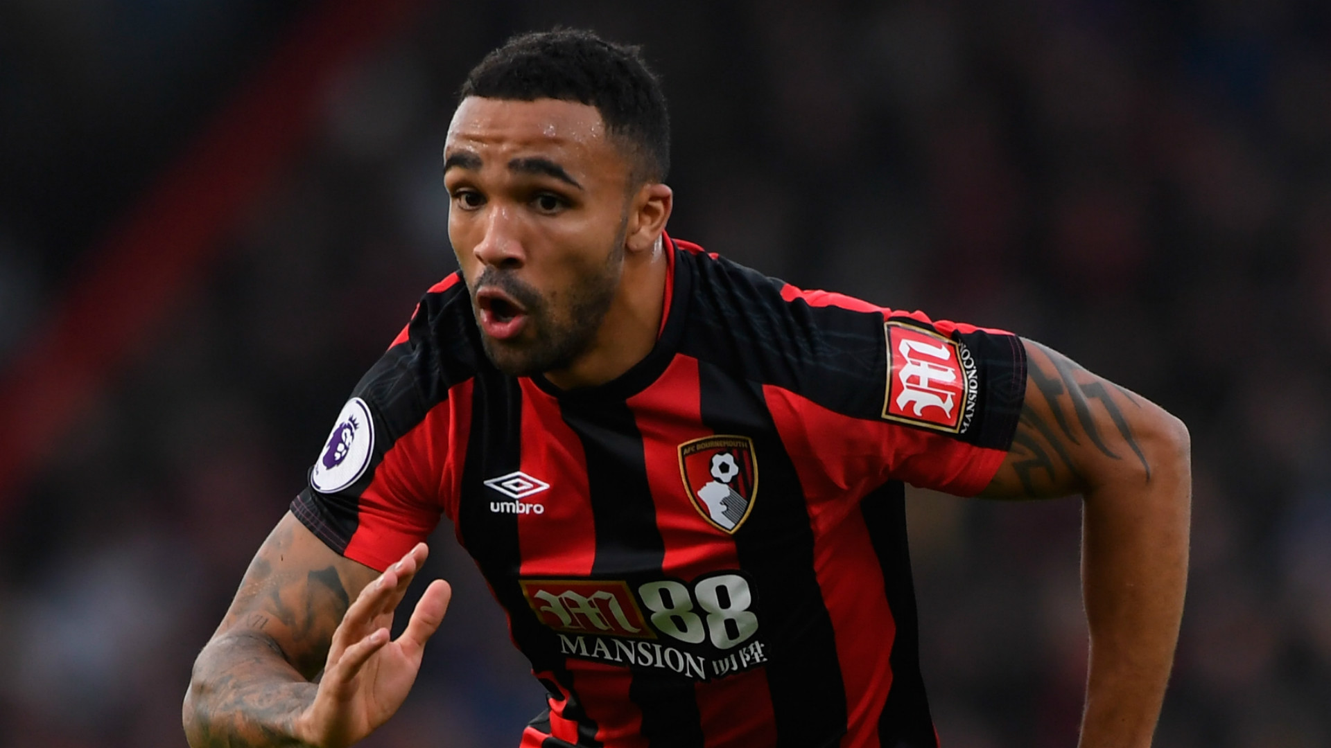 Callum Wilson Bournemouth