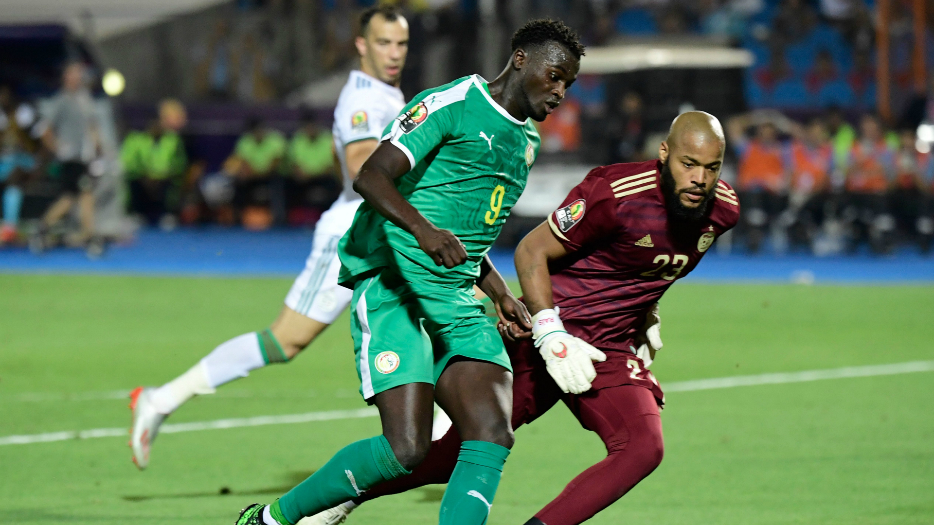 Image result for Rais M'Bolhi afcon