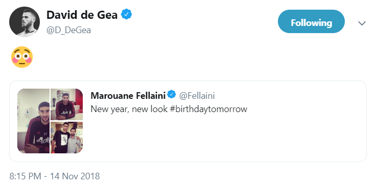 fellaini reaction 6