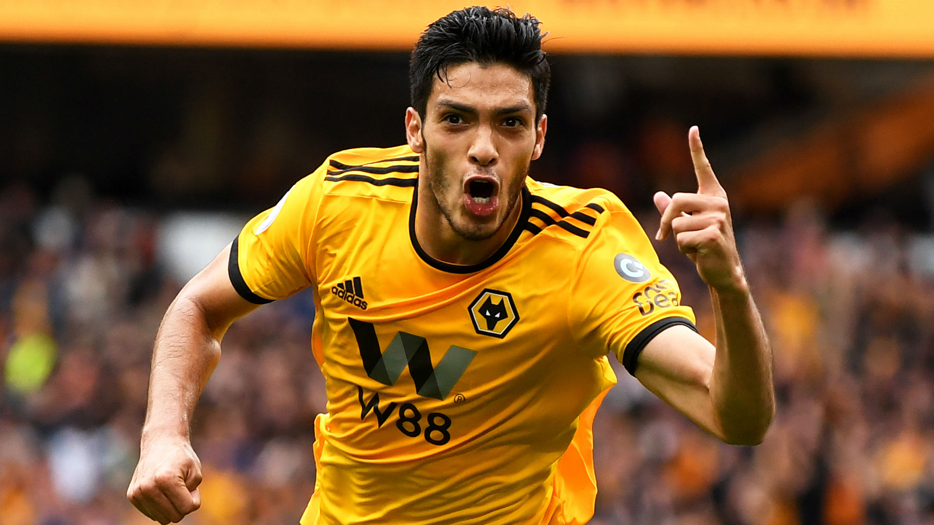 Raul Jimenez Wolves 2018-19