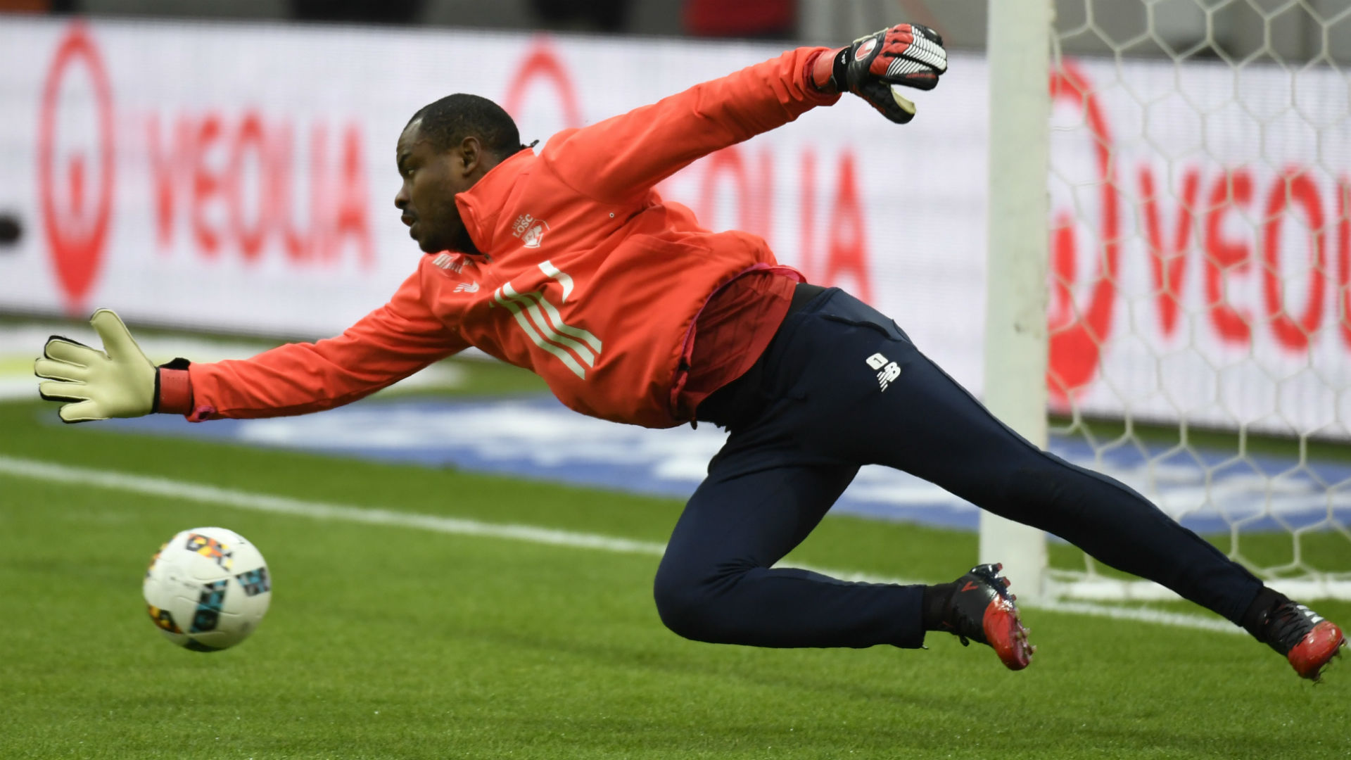 Image result for enyeama