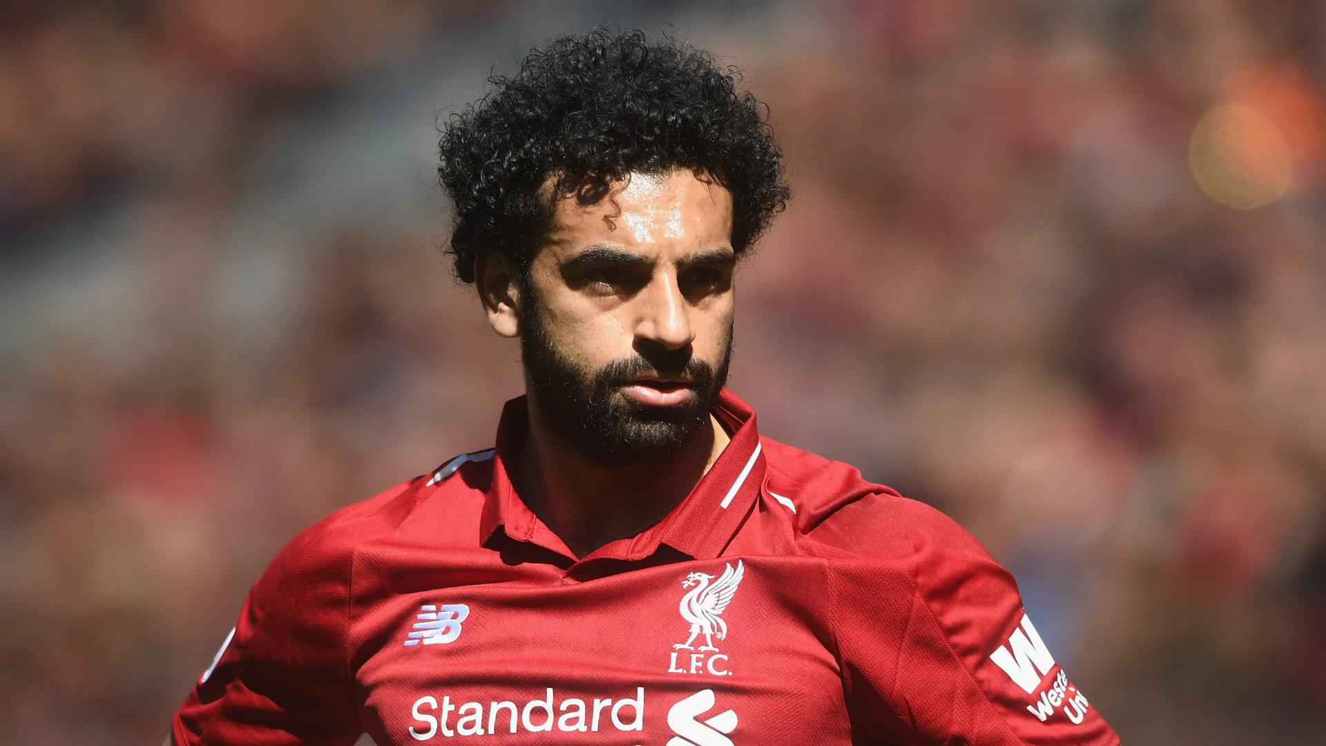 mohamed salah 2018-19