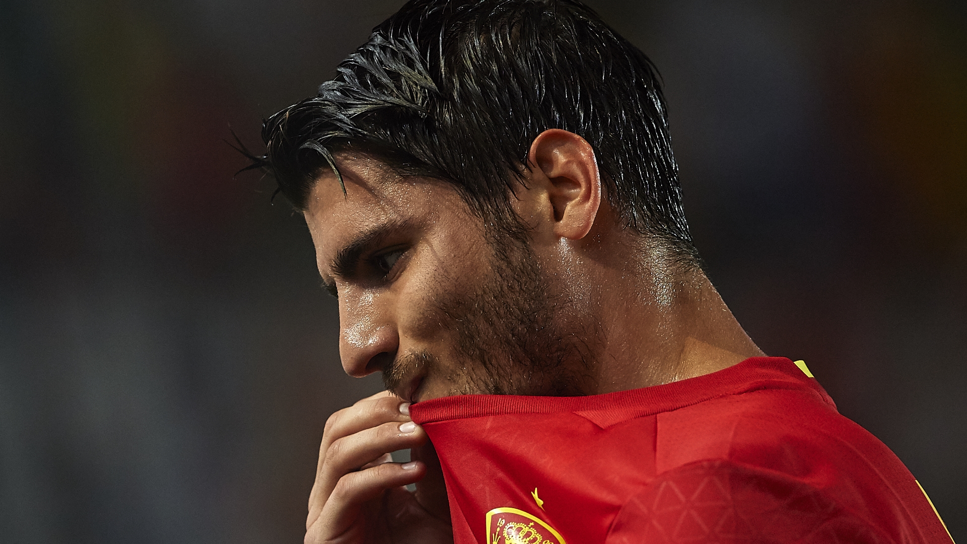 Image result for à¹à¸à¹à¸à¸ªà¹à¸à¸à¹à¸à¹à¸à¸à¸§à¸à¸à¸±à¸à¸à¸·à¹à¸­à¹à¸¡à¸£à¸²à¸à¹à¸²à¸à¹à¸à¸à¸µà¸¡