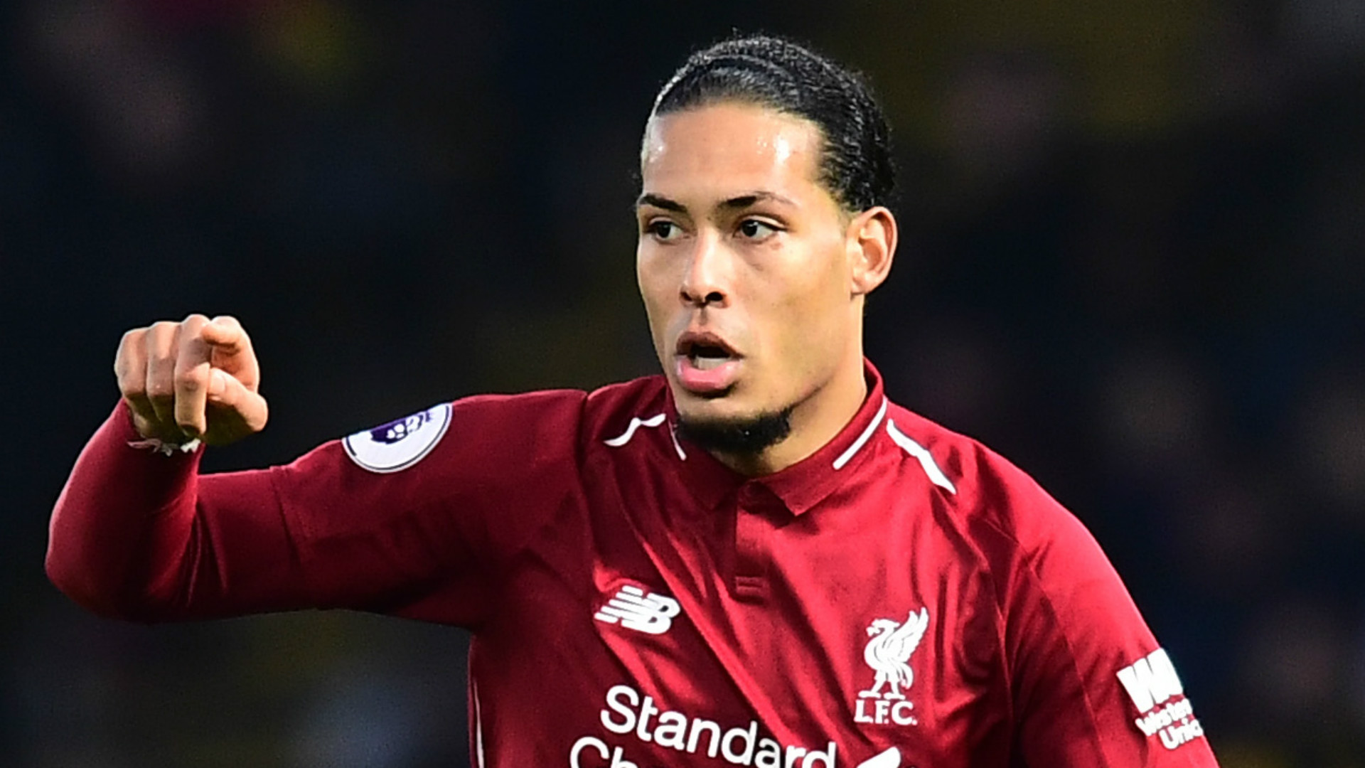 Virgil van Dijk Liverpool 2018-19