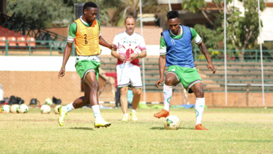 Africa Cup of Nations: Introducing Kenya’s group-stage opponents