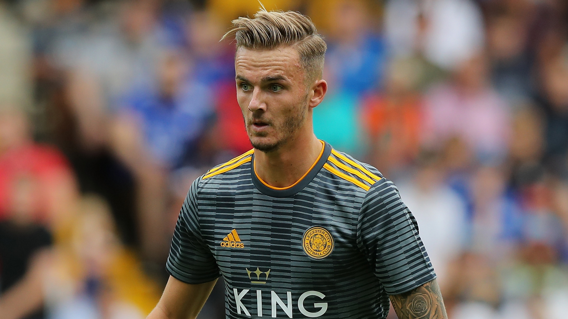James Maddison James Maddison