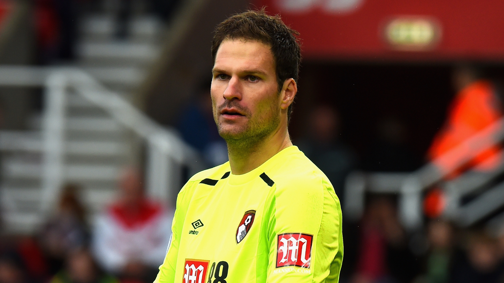 Asmir Begovic, Bournemouth