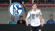 GFX Sebastian Rudy FC Schalke 04