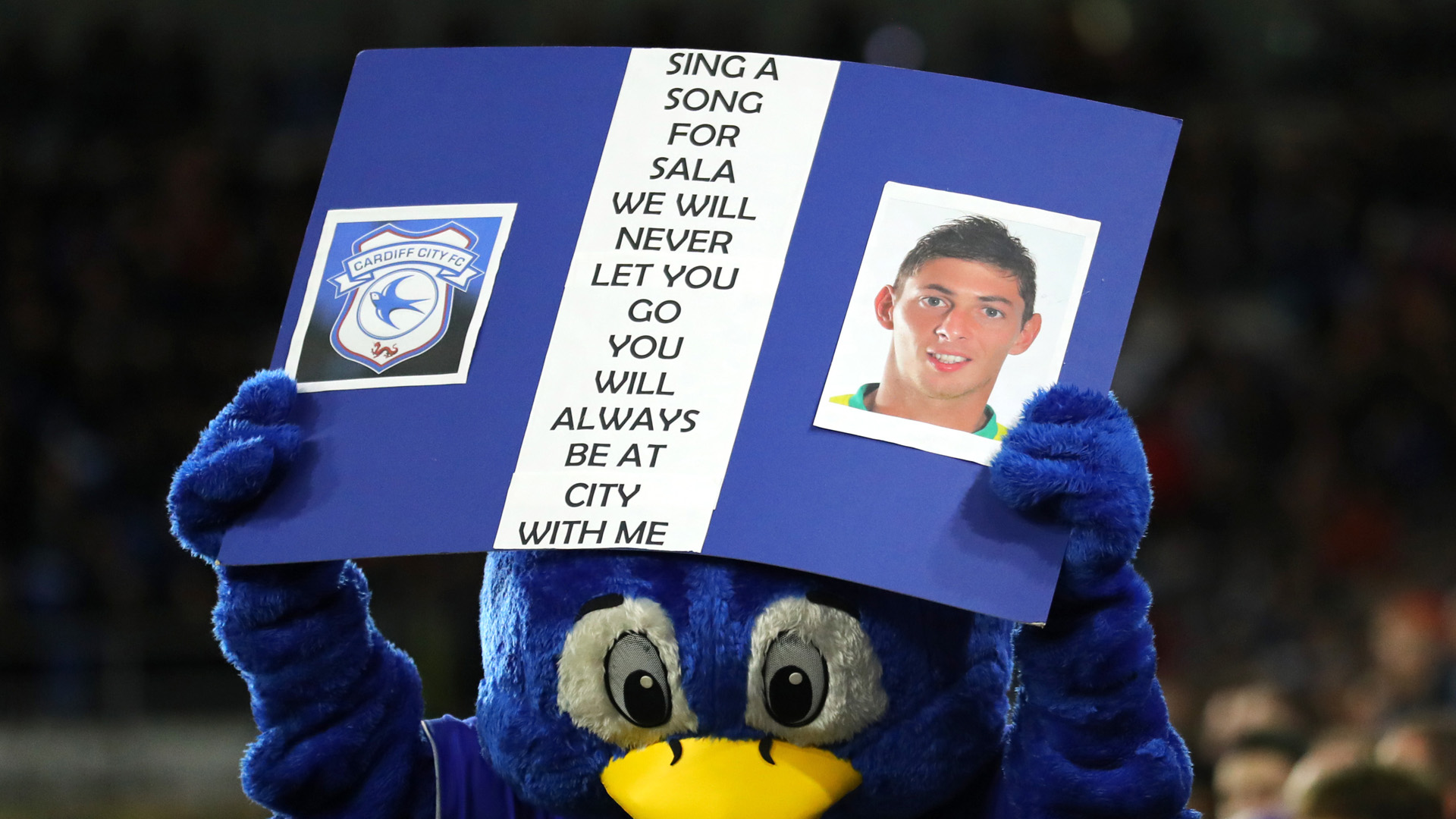 Cardiff City Emiliano Sala 2019