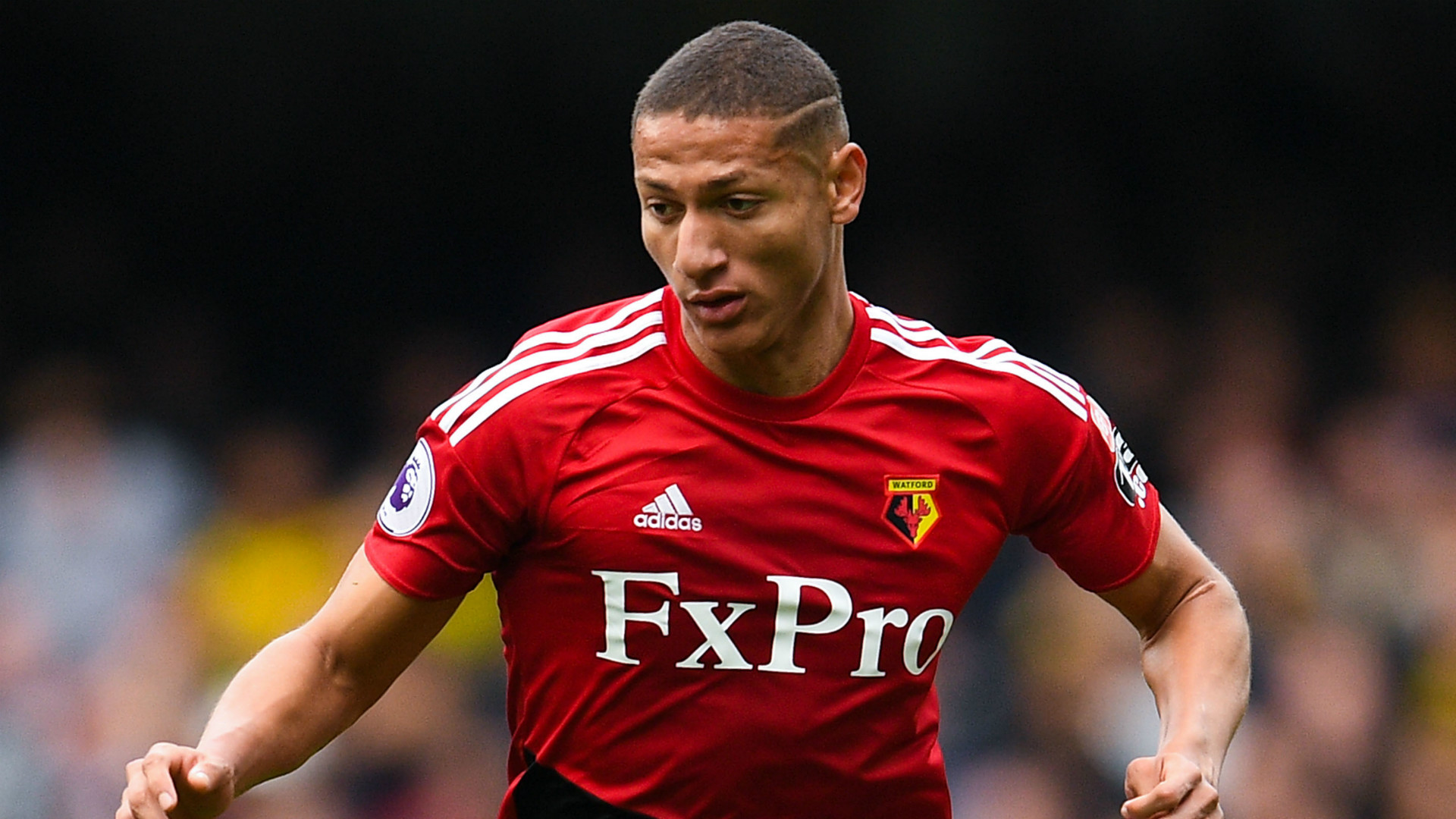 Richarlison Watford 2017