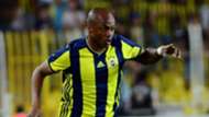 Andre Ayew Fenerbahce