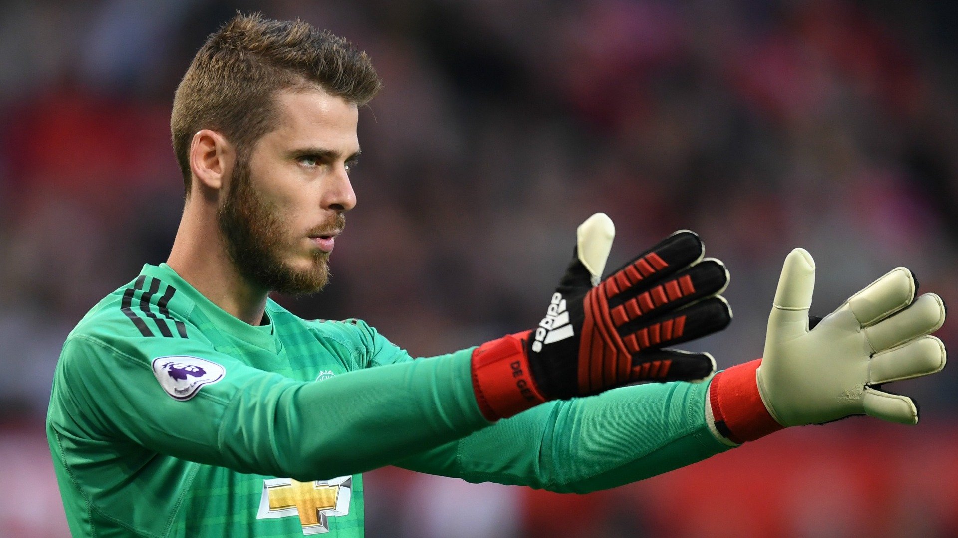 Image result for de gea