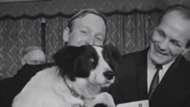 Pickles perro Inglaterra 1966