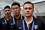 Fabio Cannavaro, Tianjin Quanjian