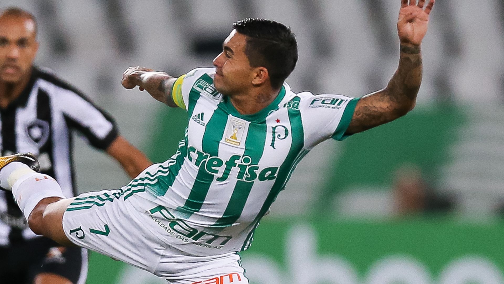Dudu Botafogo Palmeiras Brasileirao Serie A 02082017