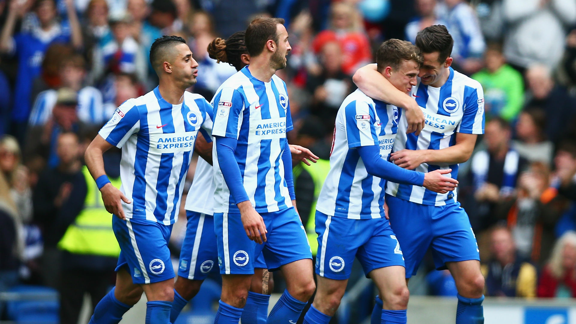 Image result for brighton and hove albion