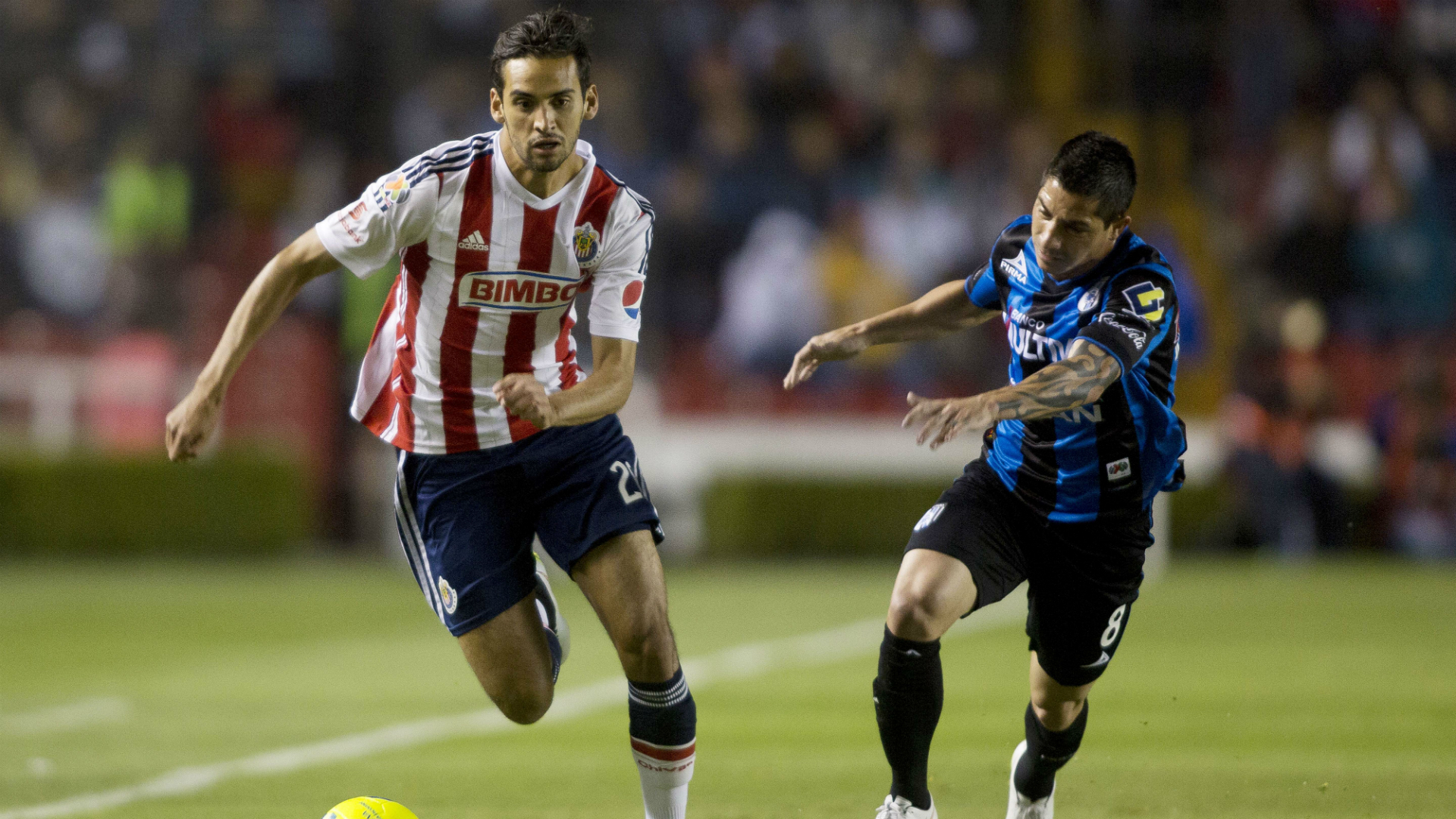 Chivas - Querétaro 2015
