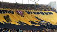 Dynamo Dresden fans