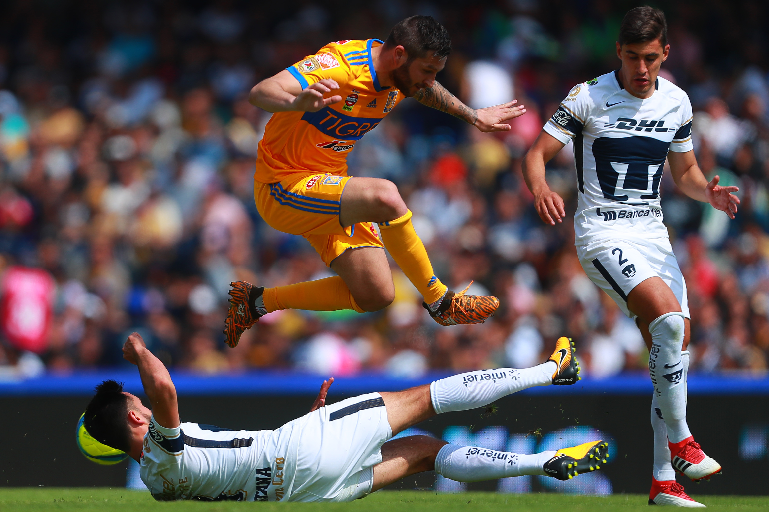 Pumas vs Tigres Resultados, estadísticas e historial