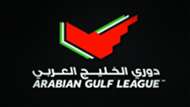 الدوري الإماراتي