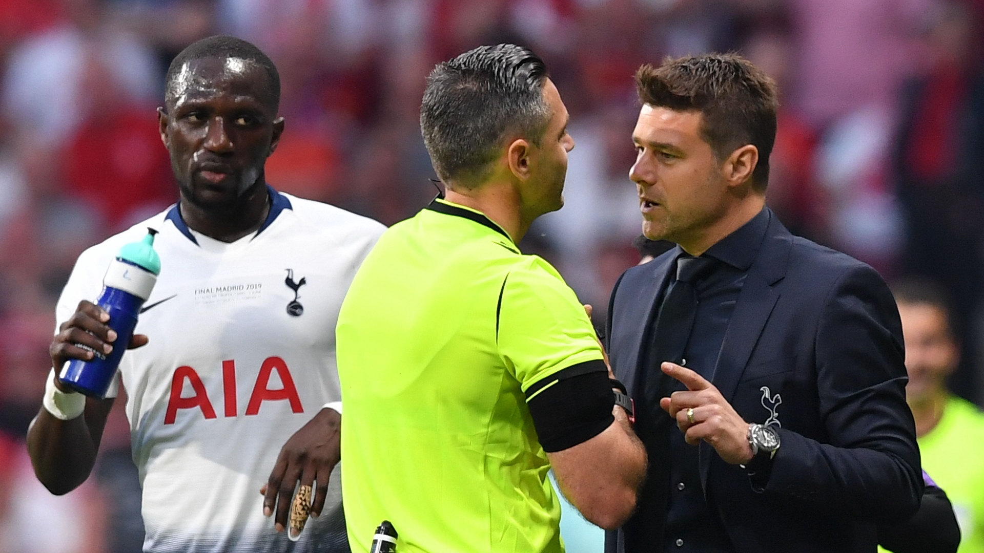 Moussa Sissoko, Mauricio Pochettino, Damir Skomina