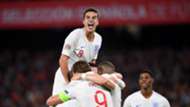 Harry Winks England